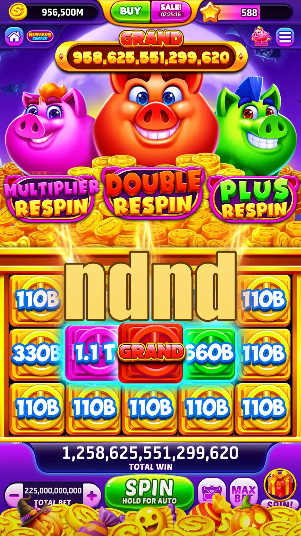 ndnd Login